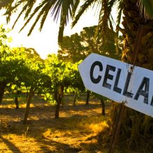 seppeltsfield cellar door